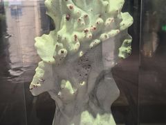 -安徽省地质博物馆