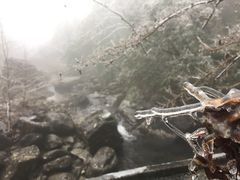 -白云源风景区