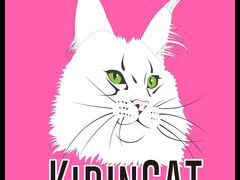 -十年猫舍·猫咪专门店(普陀店)