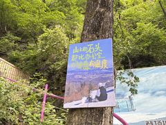 -帽儿山风景区