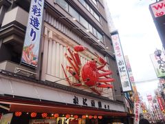 -蟹道乐(道顿堀本店)