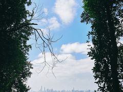 -火炉山森林公园