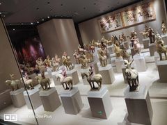 -《12·12》西安事变大型实景演出