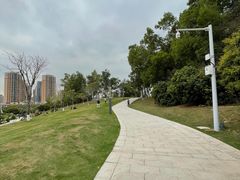 -红花山公园