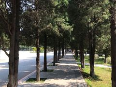 -东北大学(南湖校区)