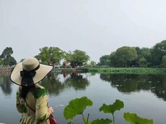 -无锡蠡湖国家湿地公园-蠡园