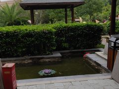 -咸宁万豪温泉谷度假区