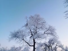 -雾凇岛
