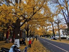 -四川大学(华西校区)