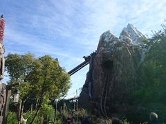 -奥兰多迪士尼动物王国乐园