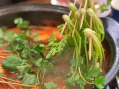 -川成串·自助串串香火锅(朝阳店)