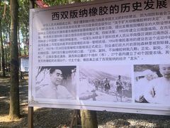 -西双版纳勐泐文化旅游区