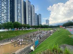 -光明小镇欢乐田园