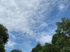 -龙井壹号·茶缘山景宴(龙井村店)