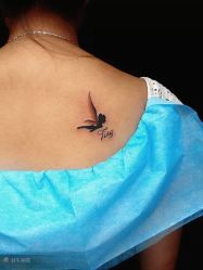 -针牛刺客·刺青纹身