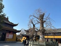 -圆通寺