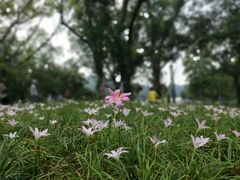 -广州市白云山风景名胜区