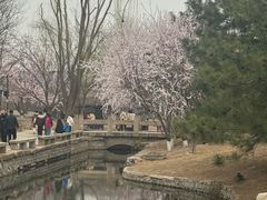 -春风习习