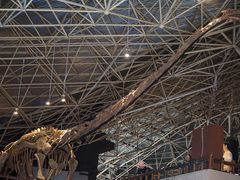 -世界恐龙谷景区