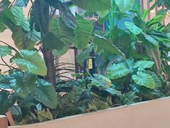 -悦海·家宴·冰花皮皮虾大锅贴(宝龙店)