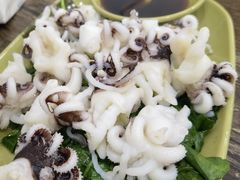 芥末海菊花-贞姨美食·老字号海鲜大排档