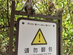 -南湾猴岛+椰田古寨一日游