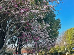 -江南大学(蠡湖校区)