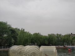 -莲湖公园