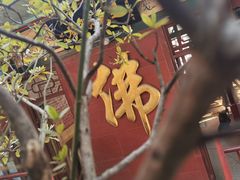 -仓山金山寺