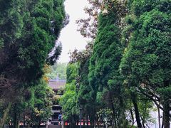 -丰都鬼城名山景区