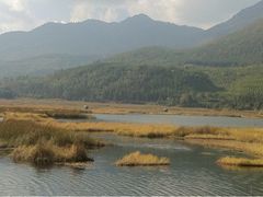 -腾冲北海湿地