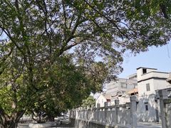 -大旗头古村