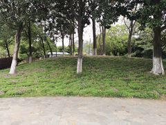 -月湖风景区