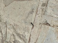 -北京天湖会议中心