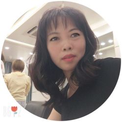 -YESIDO椰岛造型