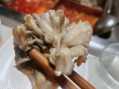 -海底捞火锅(枫蓝国际购物中心店)