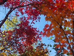 -长春市南湖公园