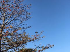 -西堤公园