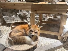 -绿色星球动物主题公园