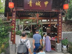 -青城甲(青城山店)