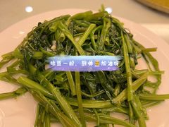 -那达慕蒙古风味酒楼