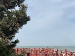 -养马岛旅游度假区