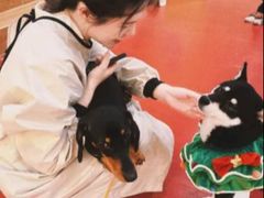 -和它·交个朋友·狗咖猫咖(爱琴海店)