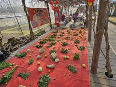 -前小桔亲子创意农场·草莓采摘·露营烧烤