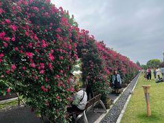 -广富林郊野公园