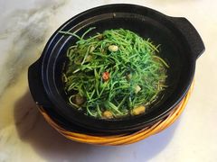 肉碎清香豆苗-伙靠·江浙菜(田林路店)