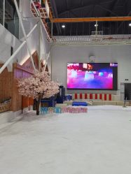-Mr·Kuma酷么先生雪之乐园