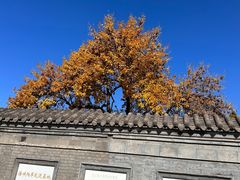 -张学良旧居陈列馆