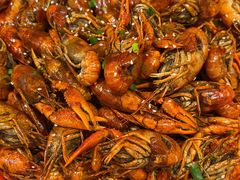 -松哥油焖大虾(科技园店)