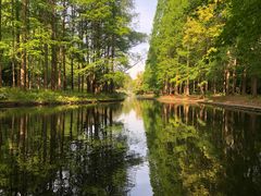 -上海共青森林公园